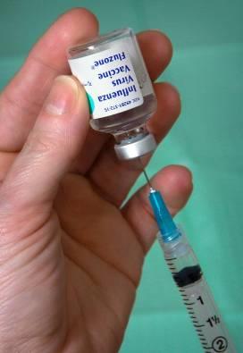 Vacuna contra la Influenza Es la principal manera de prevenir la influenza y sus complicaciones Es una vacuna