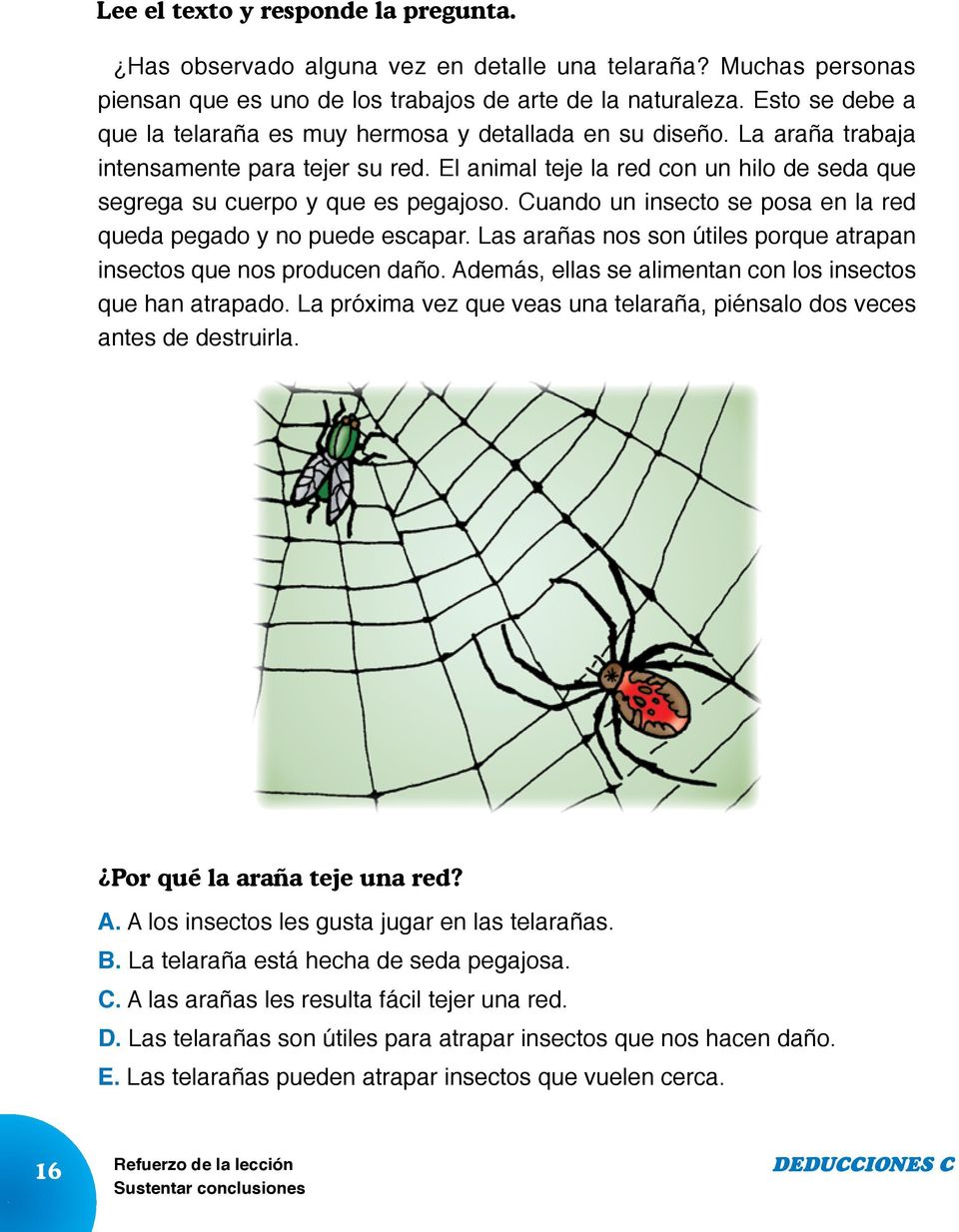 Las arañas nos son útiles porque atrapan insectos que nos producen daño. Además, ellas se alimentan con los insectos que han atrapado.