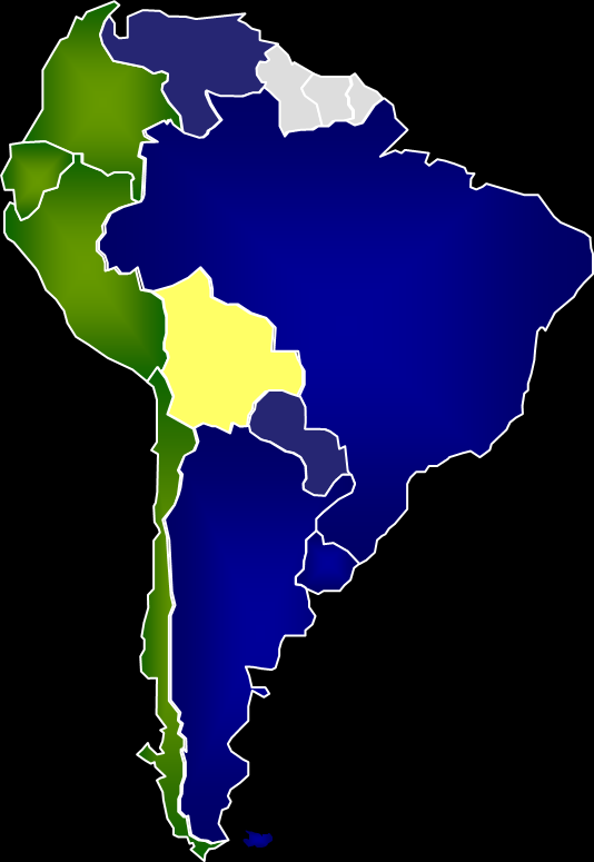 PAISES QUE INTEGRAN LA REAF Argentina, Brasil, Paraguay, Uruguay y Venezuela son miembros plenos (en azul). Bolivia en proceso de adhesión al bloque.