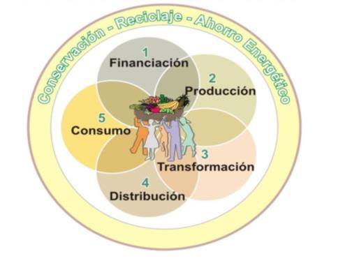 Circuito económico agroalimentario con enfoque ecológico y solidario El modelo
