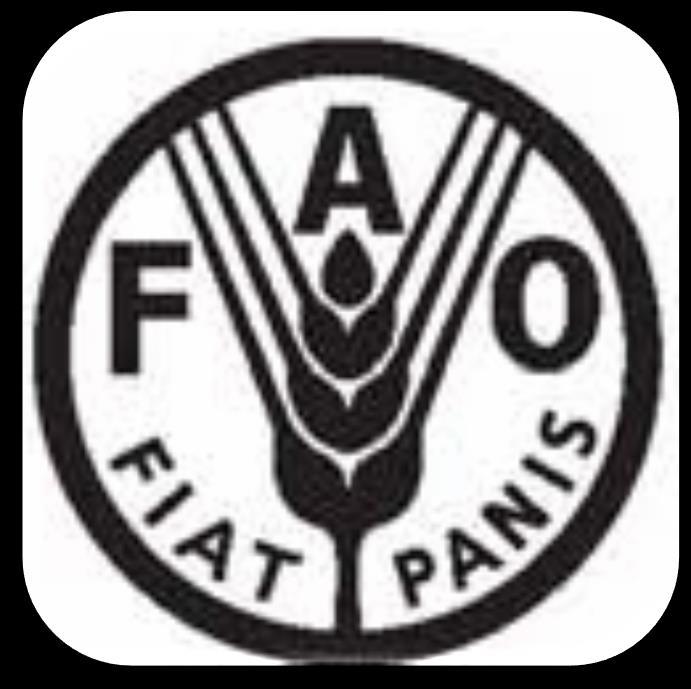 Los estándares de la FAO son la base para las