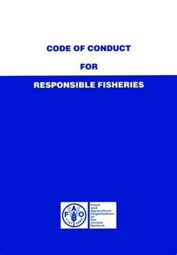 Base de los estándares para la pesca S 1995 Código de Conducta para la Pesca Responsable de la ONU-FAO S Responsabilidad en el contexto de: S