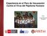 Experiencia en el Perú de Vacunación Contra el Virus del Papiloma Humano. Dra. Irma Ramos Chávez