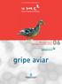 gripe aviar 06 Edición realizada con el patrocinio de Monografías de Comunicación Científica Museos Científicos Coruñeses