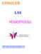 CONOCER LAS MARIPOSAS. mail@mariposariodebenalmadena.com www.mariposariodebenalmadena.com