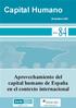 Capital Humano. Aprovechamiento del capital humano de España en el contexto internacional. núm. Diciembre 2007