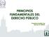 PRINCIPIOS FUNDAMENTALES DEL DERECHO PÚBLICO. Fortunato González Cruz Director de CIEPROL
