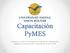 Capacitación PyMES. Situación actual y las perspectivas futuras de capacitación dirigida a la potenciación exportadora de las PyME