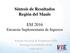 Síntesis de Resultados Región del Maule. ESI 2016 Encuesta Suplementaria de Ingresos