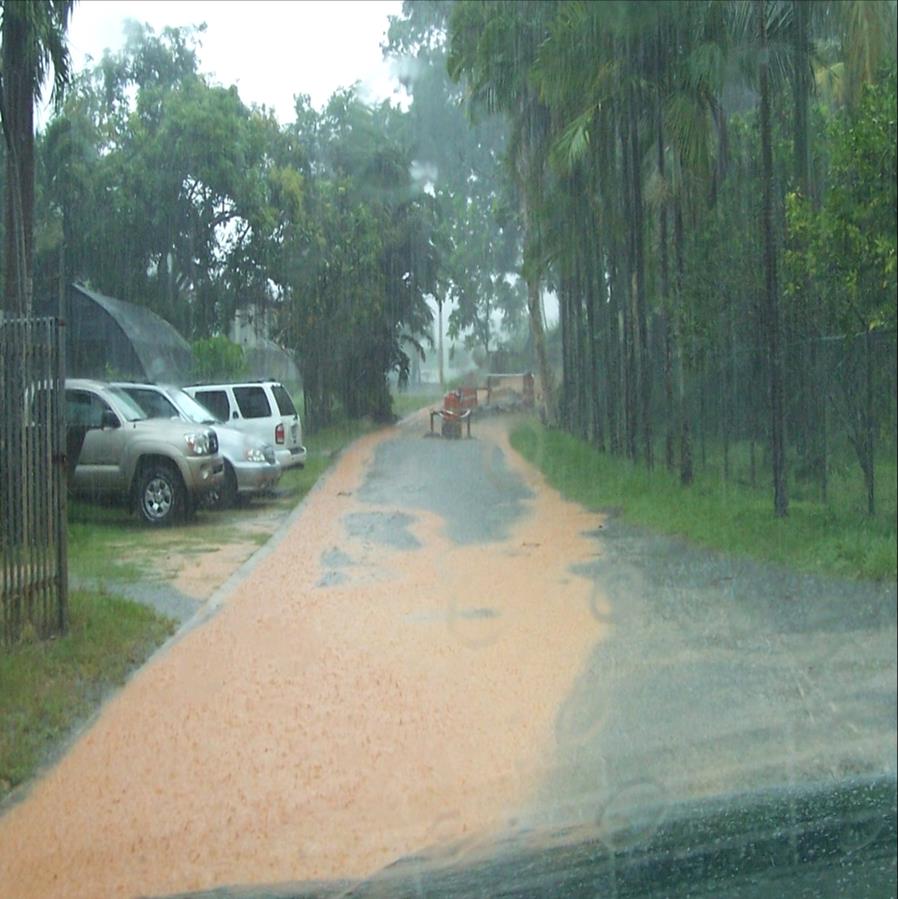Manejo de la escorrentía La escorrentía ocurre cuando el suelo se satura después de un evento de lluvia.