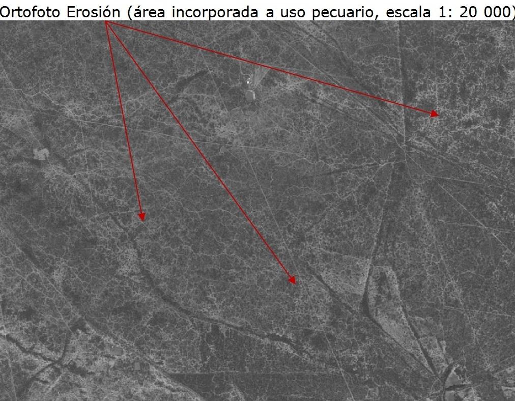Mapa Nacional de Erosión del Suelo 1:250 000
