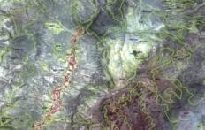 Imágenes de satélite SPOT 5 (10 m) Cartografía en papel