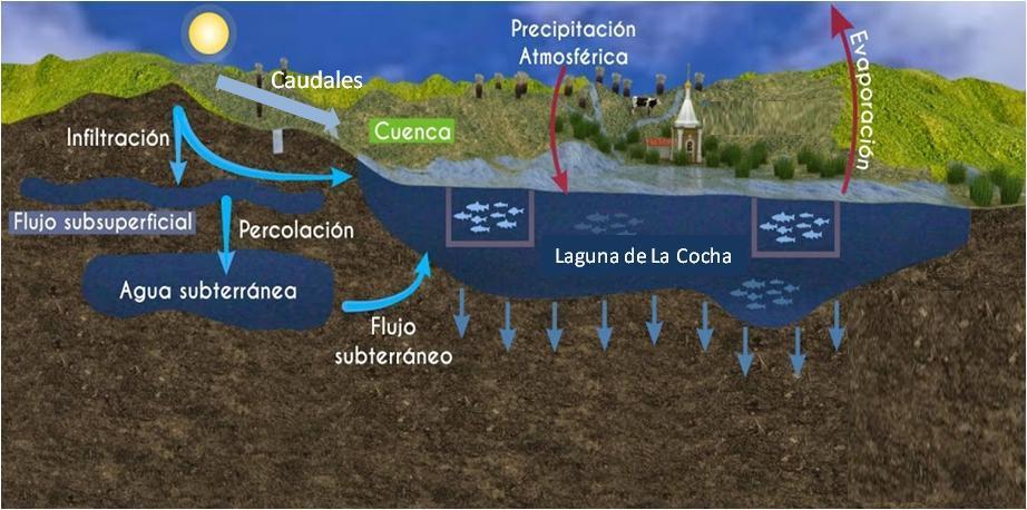 Modelando el futuro de La Cocha Un balance hidrológico es el cálculo de las entradas y salidas de agua en un sector de una cuenca a lo largo del tiempo.