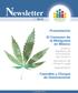 Newsletter 01/2013. Presentación. El Consumo de la Mariguana en México. Cannabis y Choque de Generaciones