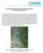 Estudio preliminar de las pérdidas en el escurrimiento del río Salado en el tramo Canalejas-Puente Ruta 10