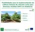 Posibilidades para la implementación de cultivos leñosos de rotación corta para biomasa: Análisis DAFO en Andalucía