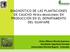 DIAGNOSTICO DE LAS PLANTACIONES DE CAUCHO HEVEA BRASILIENSIS EN PRODUCCIÓN EN EL DEPARTAMENTO DEL GUAVIARE